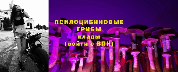 спайс Баксан